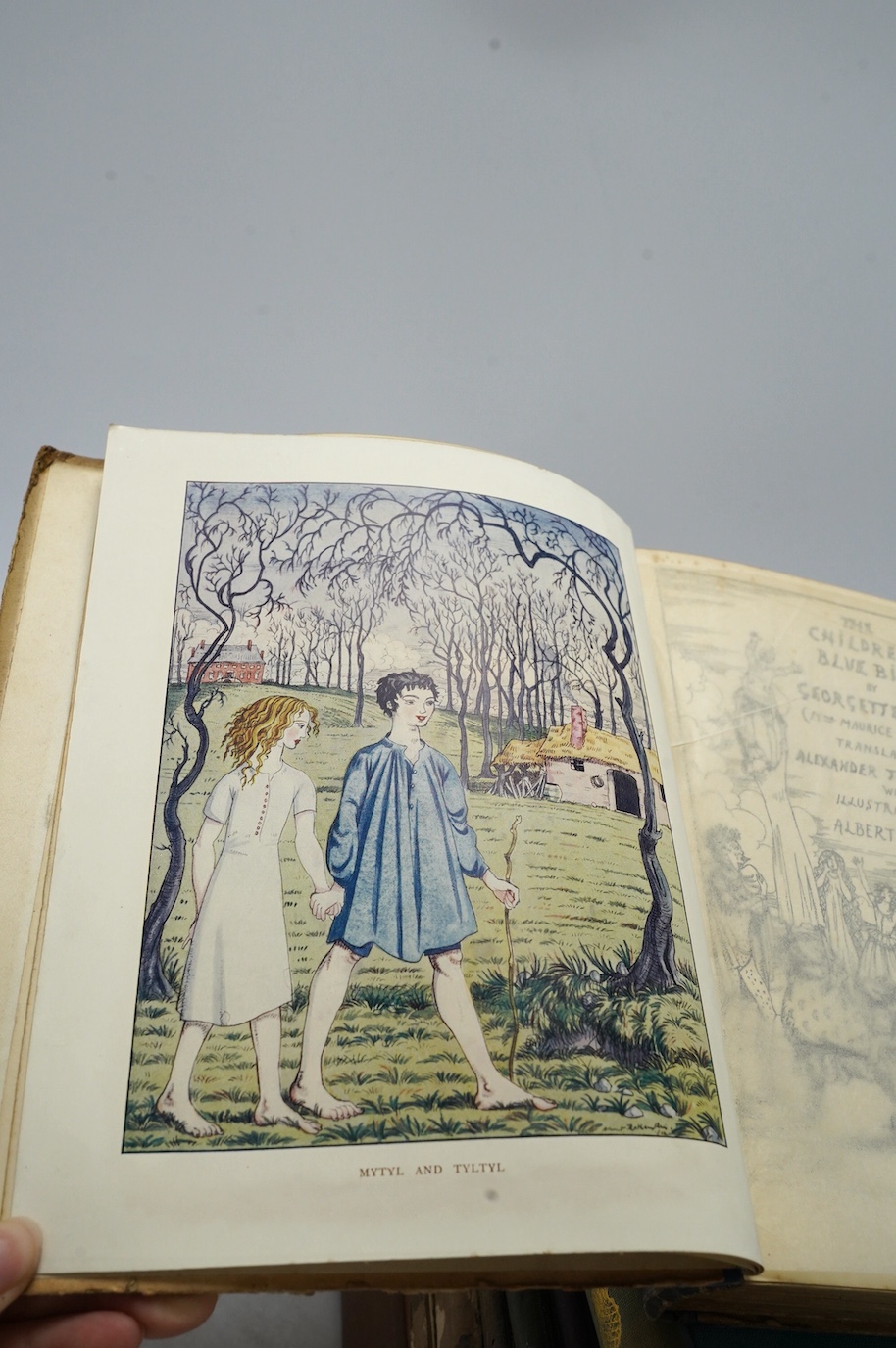 Leblanc, Georgette - The Children's Blue Bird....Translated by Alexander Teixeira De Mattos....pictorial title and 13 coloured plates (by Albert Rothenstein); original cloth backed coloured pictorial boards. 1913